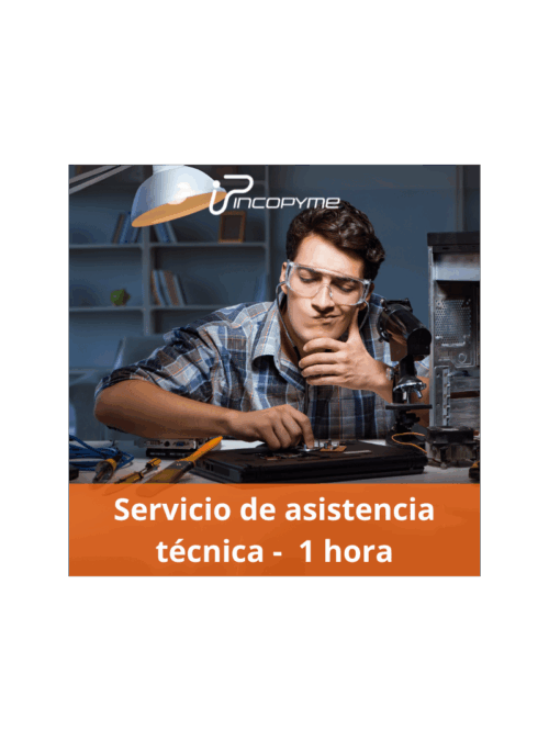 Servicio de asistencia técnica - 1 Hora